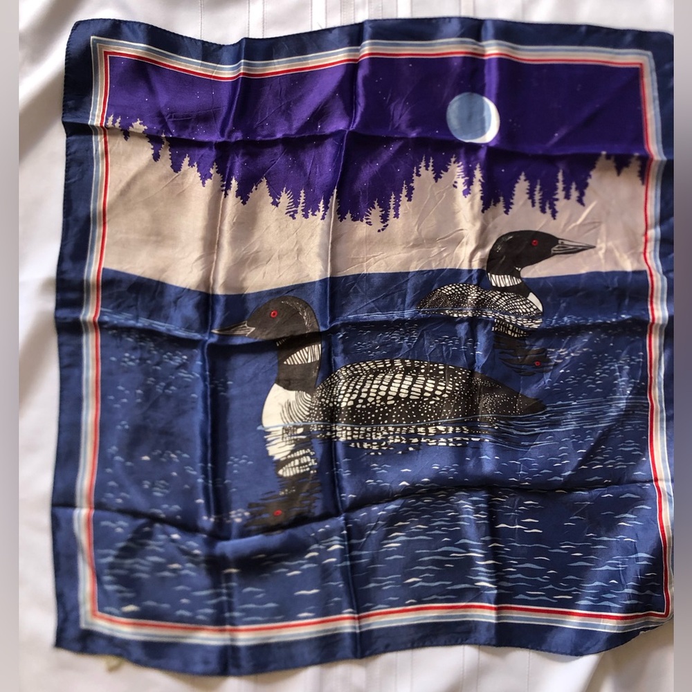 Vtg Skemo Canada Eleanor Paine Loon Print Scarf